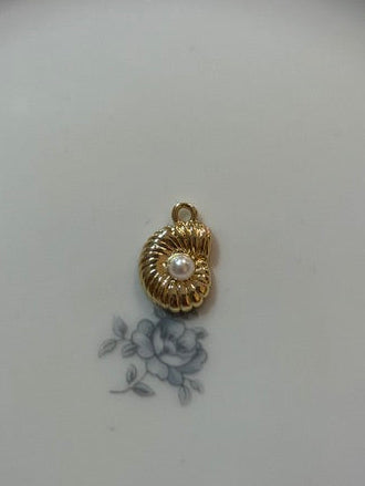Spiral Shell
