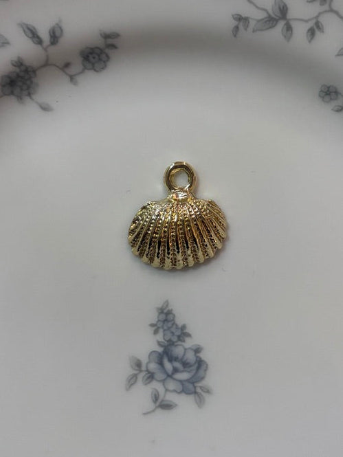 Scalloped Shell